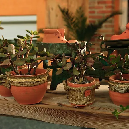 Gasthuis La Pergola 3*